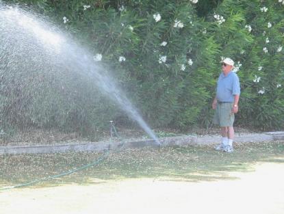 Littleton sprinkler repair success